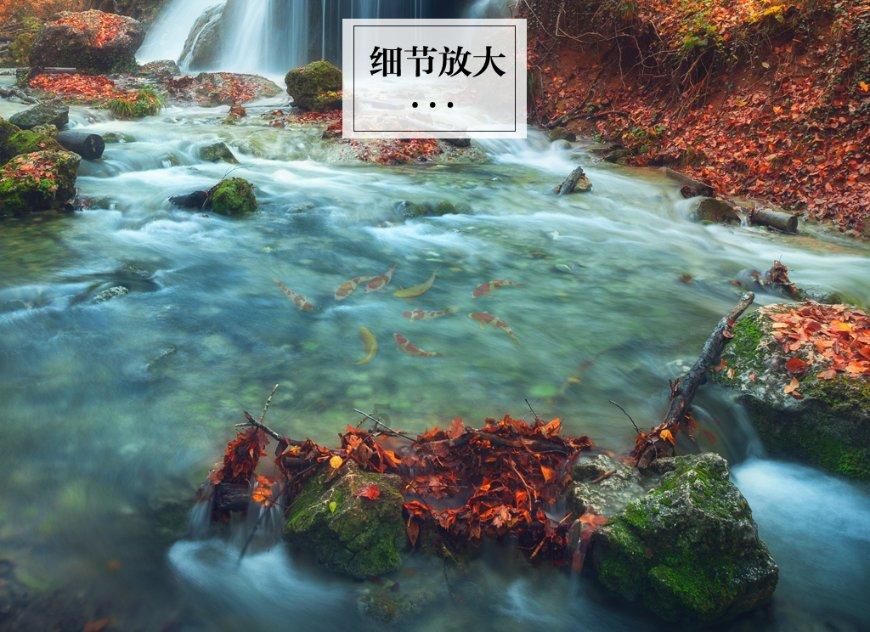 疯狂的麦克斯